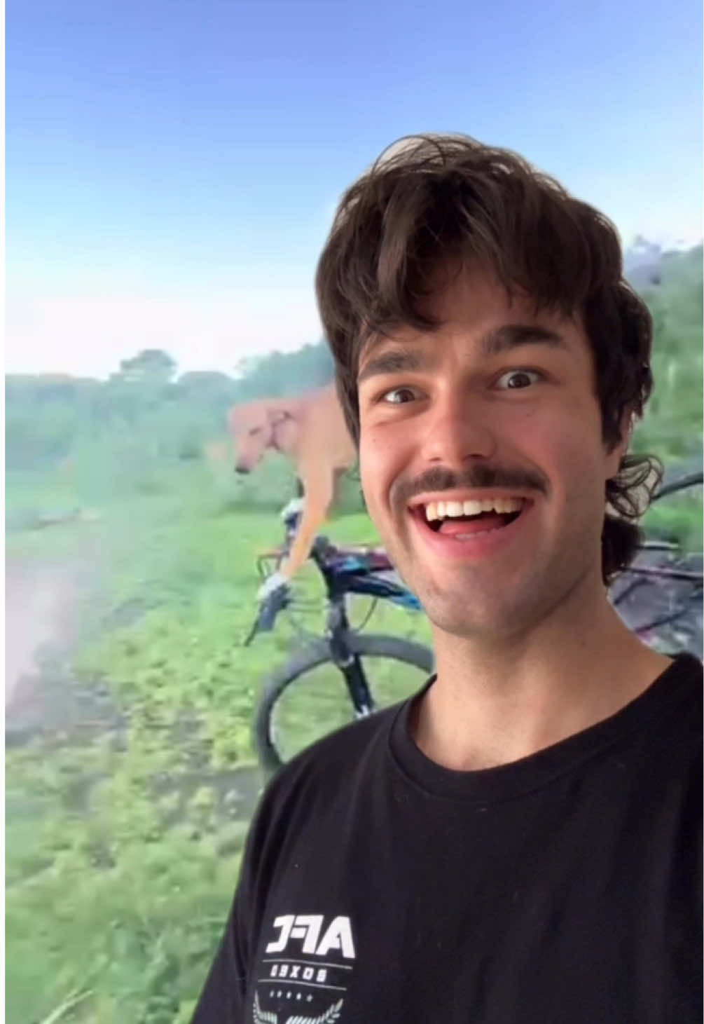 A post by @peldanyos on TikTok caption: Nos lo han arrebatado TODO 