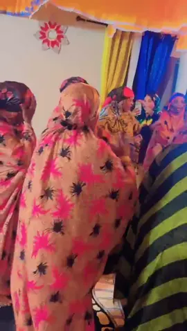 A post by @collectionhs1 on TikTok