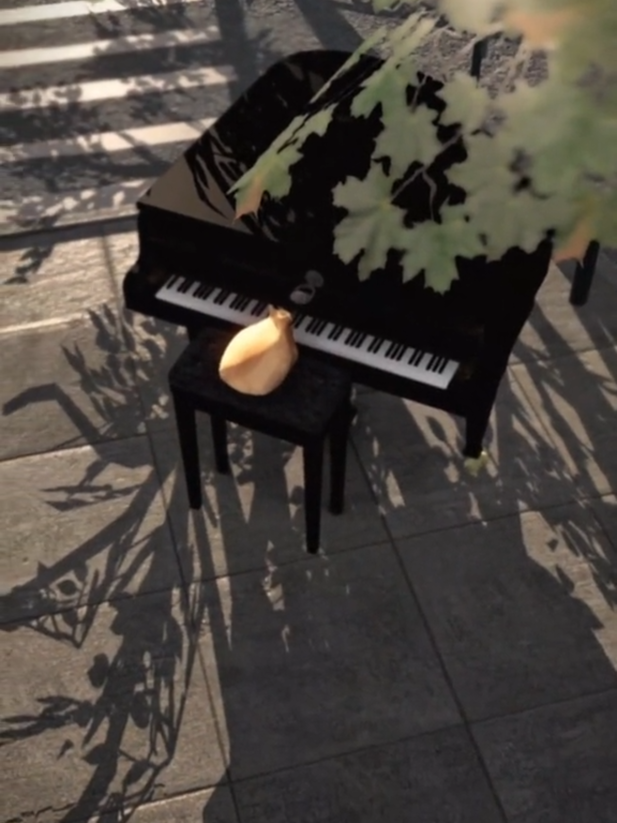 A post by @dmcgar on TikTok caption: The video that catapulted my singing career to the moon. #onthisday #meow #pablo #animals #cat #cartok #catsofinstagram #fyp #sing 