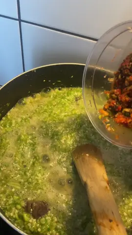 A post by @gumanehtouray on TikTok