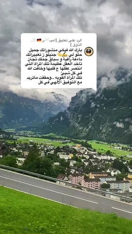 A post by @laila_afrin3 on TikTok caption: الرد على @[اميـ𓄌ـر𓄂 🇩🇪 الذوق ] #تصويري #📸 #zürich🇨🇭 #rojava_rojhlat_bakor_başor❤💛💚 #عفرين_قامشلي_كوباني_درباسيه_ديرك_عاموا #kurdistan❤️ الف تحيه لك خالو من سويسرا لا المانيا شمرا كتير على تعليقات الحلو👑👑🙆‍♀️🌸💚🥰