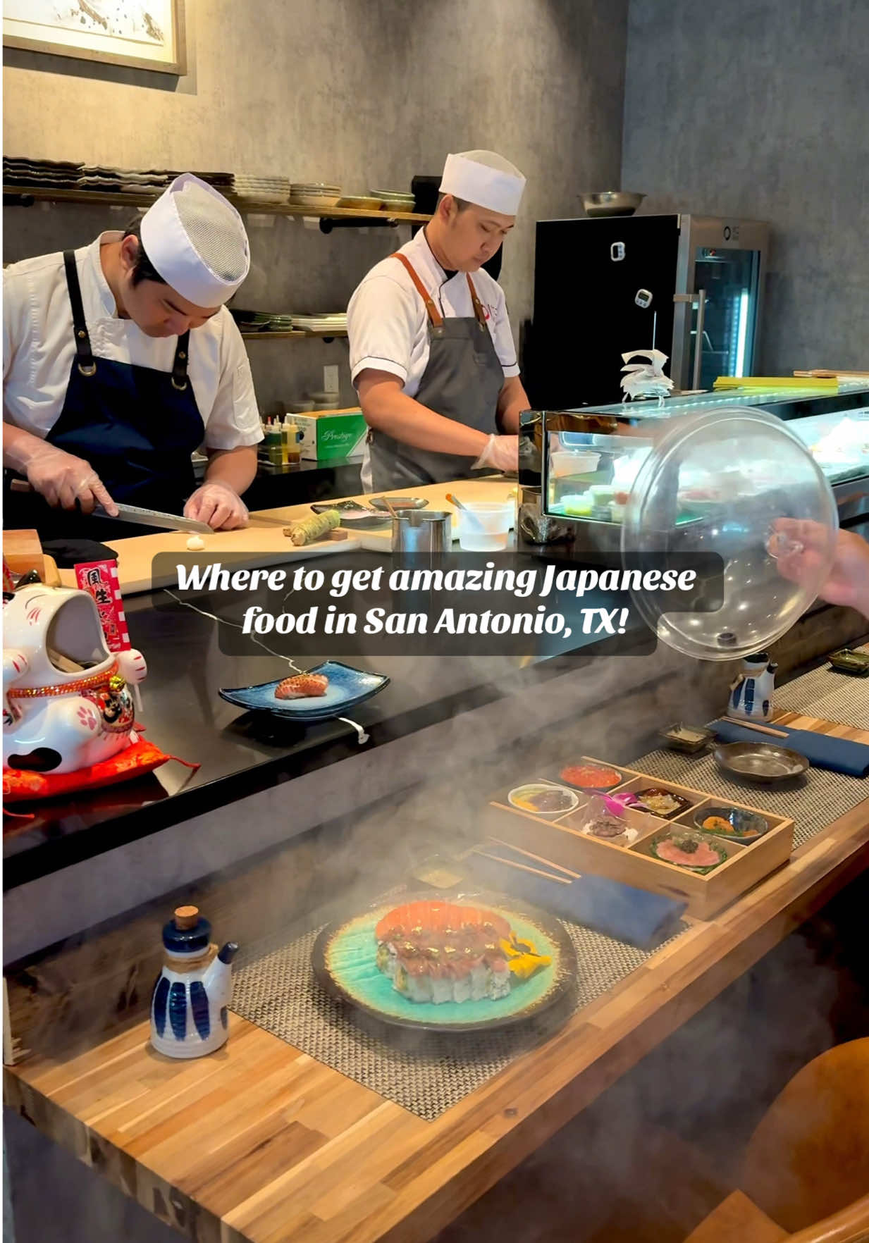 A post by @sanantoniofoodie on TikTok caption: This spot is seriously 10/10!! 🍣🔥🍱🤤 📍 @SUKO Japanese Cuisine - 17134 Bulverde Rd Ste 106 ⏰ Mon–Fri: 11:30 AM – 10 PM, Sat: 12 PM – 10 PM, Sun: 12 PM – 9 PM #japanesefood #sushi #sanantoniotx #sanantoniotexas #tiktoksanantonio #sanantoniocheck #sanantoniofoodie 