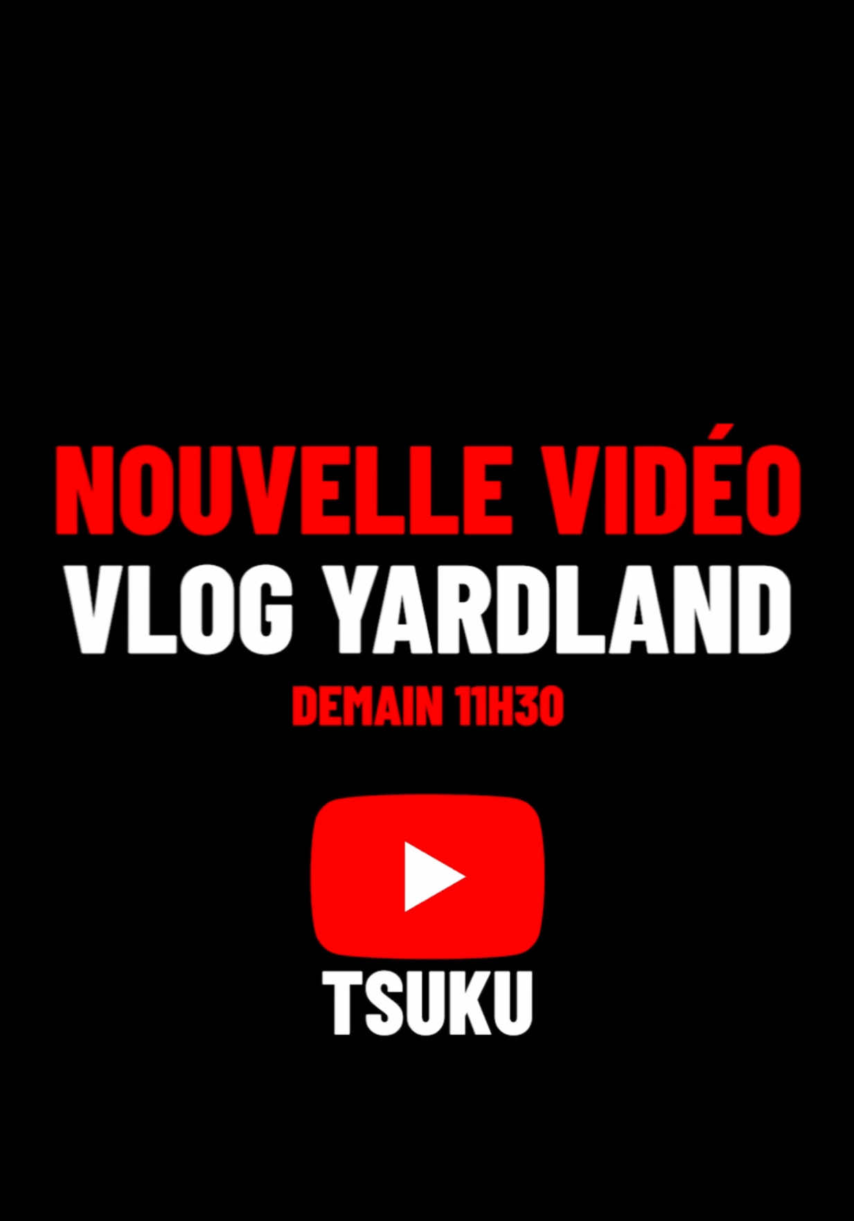 A post by @tsukuytb on TikTok caption: 48H pour passer le meilleur été 🏖️🎤 DEMAIN 11H30 sur ma chaîne : TSUKU (lien en bio)