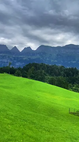 A post by @laila_afrin3 on TikTok caption: #تصويري #📸 #zürich🇨🇭 #schweiz🇨🇭 #rojava_rojhlat_bakor_başor❤💛💚 #عفرين_قامشلي_كوباني_درباسيه_ديرك_عاموا #fypシ゚ #