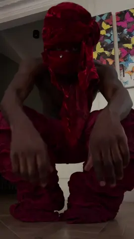 A post by @wisdm8 on TikTok caption: Pants from Paradoxe 
