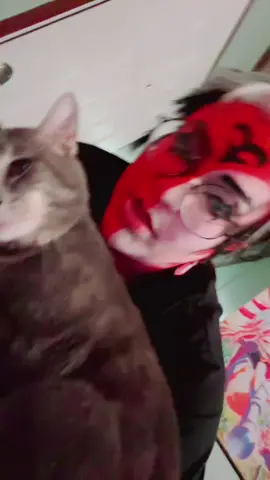 A post by @pastelanarchy on TikTok caption: Nepeta missed me lol anyway I’m home from Anime Ohio. Getting home was quite the adventure from rain so hard you couldn’t see to trees and power lines going down on your only street to get home lol but I’m home safe . The next time you see me in cosplay I will be moved into my new home in Arkansas.  