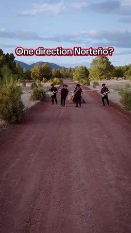 A post by @nuevo_regimen on TikTok caption: #Storyofmylife #Onedirection #Fy #Fyp 