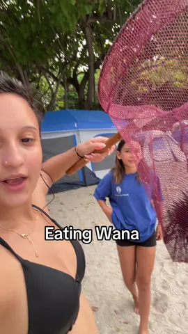 A post by @the.noelanik on TikTok caption: Yessahh #hawaii #Foodie 