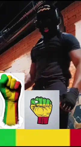 A post by @maddox_maddox223 on TikTok caption: #mali #cotedivoire🇨🇮 #senegal #france🇫🇷 #viralvideos #magiefondvert 