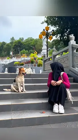 A post by @funny.pets____ on TikTok caption: sincere love of humans and animals 🥰❤️  #pet #cat #dog #cute #animals #foryou #typ