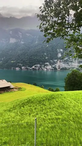 A post by @laila_afrin3 on TikTok caption: #تصويري #📸 #zürich🇨🇭 #schweiz🇨🇭 #rojava_rojhlat_bakor_başor❤💛💚 #kurdistan❤️ #عفرين_قامشلي_كوباني_درباسيه_ديرك_عاموا #Afrin #🥀 