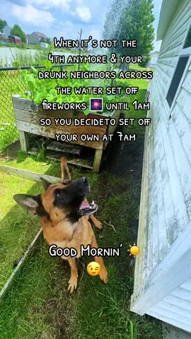 A post by @katncash on TikTok caption: They’ll  be too tired to set them off tonight 😉 🤣 @Little Monsters Thank you for brilliant idea! We love it &  I’m sure my neighbors thank y’all too! #dogsoftiktok #germanshepherd #girlanddog #petbonding #pets #fireworks #annoyingneighbors #funnydog #relatable #karma #petlove #dogdays #dogmom