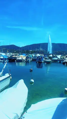 A post by @moslim987788 on TikTok