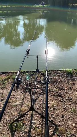 A post by @lonewolf_1616 on TikTok