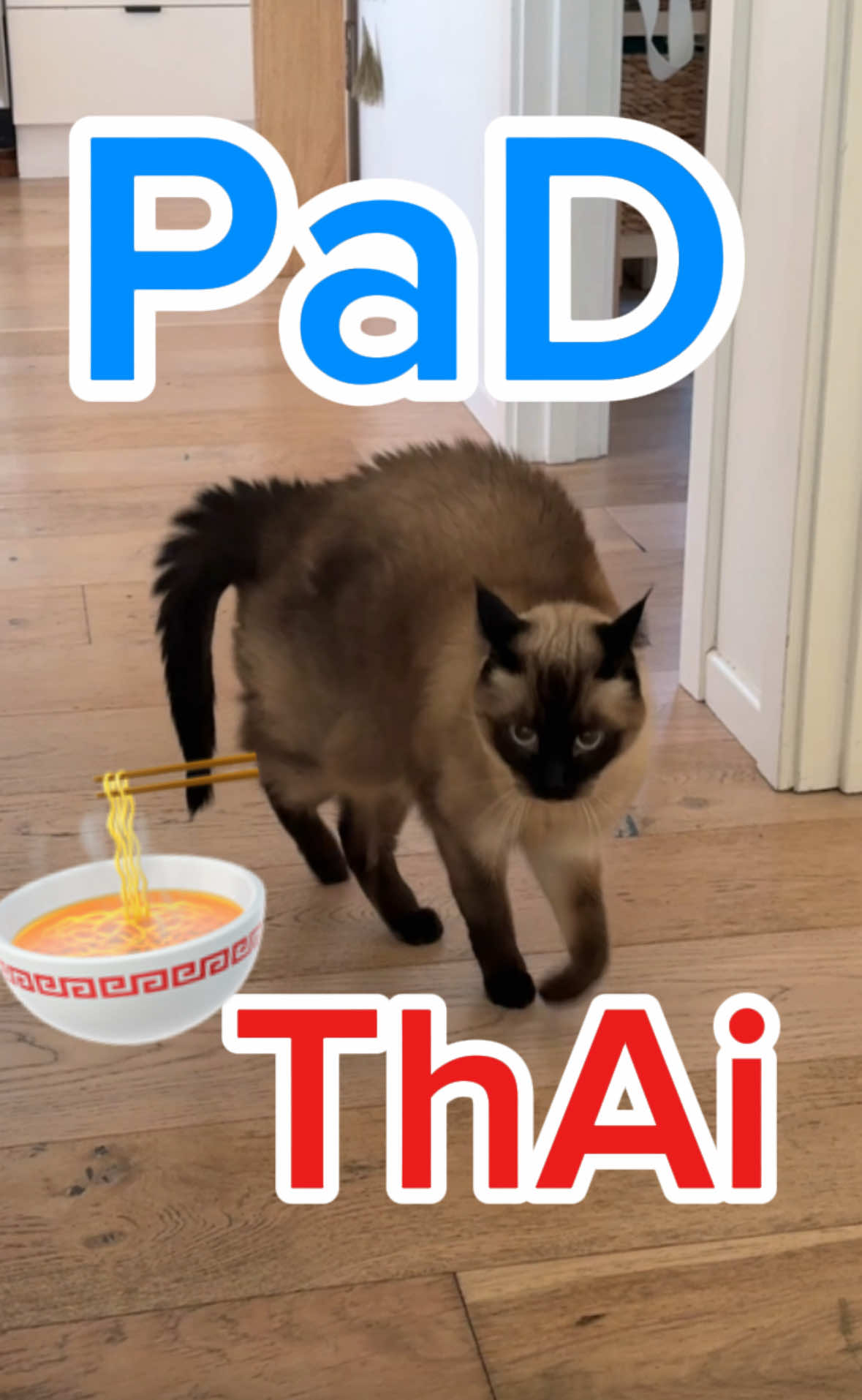 A post by @mervthecat on TikTok caption: DO NOT ATE  MY PAD THAI #bagagwa #catsoftiktok #siamese #mervthecat #backtoschool 