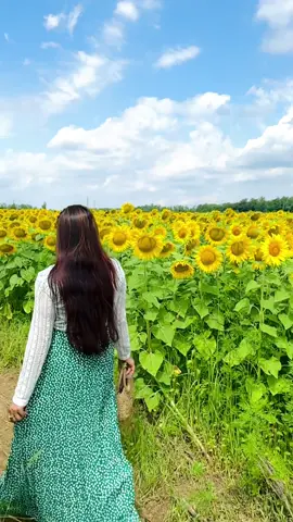A post by @____su__mi_____ on TikTok caption: 🌻💛🌻#foryoupage #foryou #tiktok #somaya_sumi 