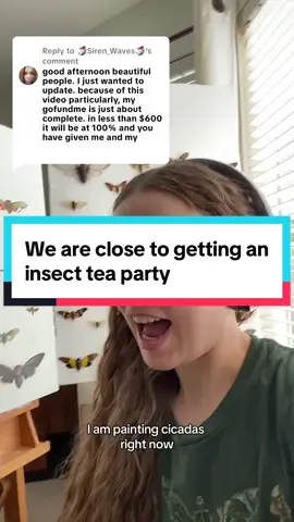 A post by @soundoftheforest on TikTok caption: Replying to @🧜🏽‍♀️Siren_Waves🧜🏽‍♀️ thank you so much to everyone who has been helping out! If you want to help out need more information, you can watch the video this comment came from! #greenscreen 