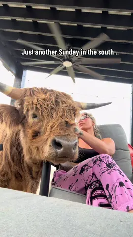 A post by @xomgitsbunnie on TikTok caption: Crunchy wanted to say hi 🤍 #bunnieandchachi 