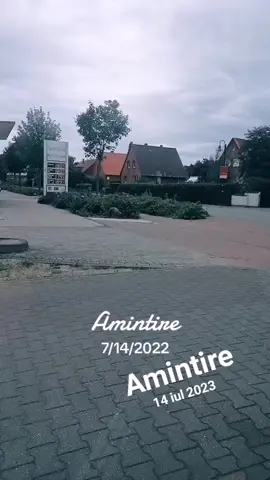 A post by @alexya_deny08 on TikTok caption: #amintire