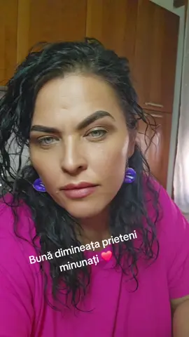 A post by @ramonademe76bmw on TikTok caption: #amintire #communityfest2025 #misiuneatiktok 