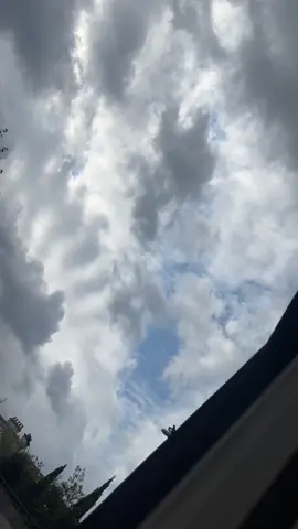 A post by @msylla91 on TikTok