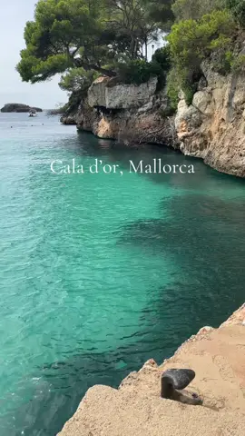 A post by @ellsbellesxx on TikTok caption: Cala d’or, Mallorca🐚🩵🐠🌊🥥🐬 #mallorca #traveltiktok #calador #travel