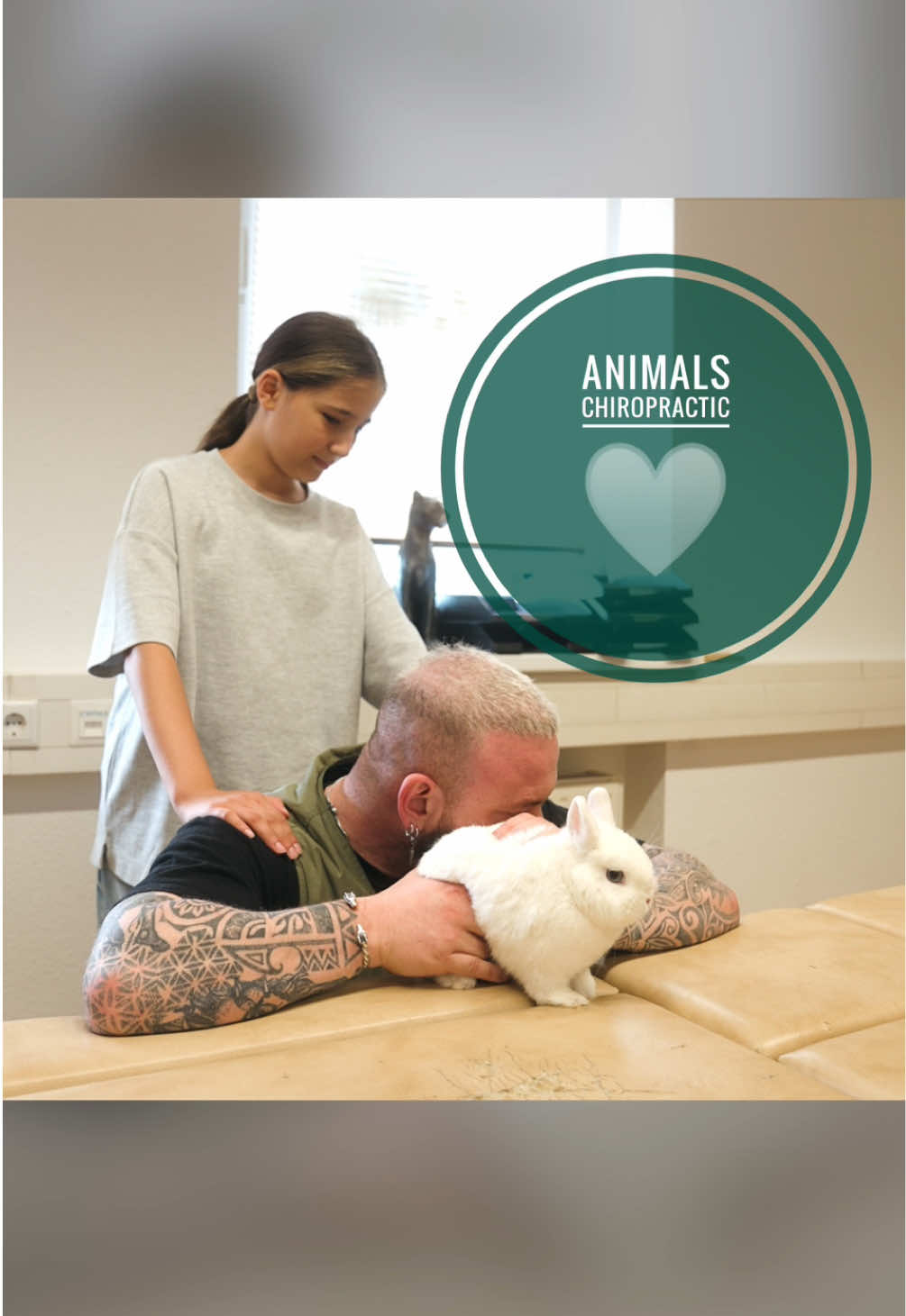 A post by @boneshandsanimals on TikTok caption: Hase konnte nicht laufen 🥹🥹  Der Tierarzt wollte Pamuk einschläfern 🥹🥹🥹 • • • • #foryou #asmr #animal #chiropractortiktok #türkiye #hundeauftiktok #hund #tiere #Love #animals 