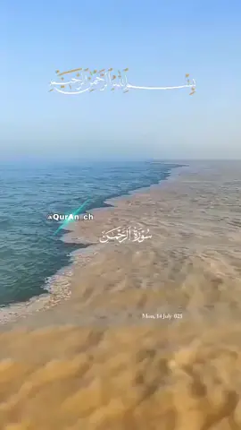 A post by @quranch on TikTok caption: #من_قرأ_سورة_الرحمن_رحم_الله_ضعفه#وادي_شكر_ما_انعم_الله_عليه#فباي_نعم_ربكما_ايها_الثقلان_تكذبان#تلاوة_تريح_قلبك_ونفسيتك
