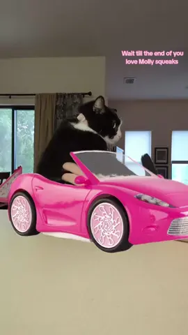 A post by @mollythepandacatofficial on TikTok caption: this trend but in Molly's iconic pink Barbie car that she crashed twice if you're an og Molly fan you know 🐱💅🏻✨ . . #fyp #girlcat #iwokeupinanewbugatti #catsoftiktok #tuxedocatsoftiktok #petsoftiktok 