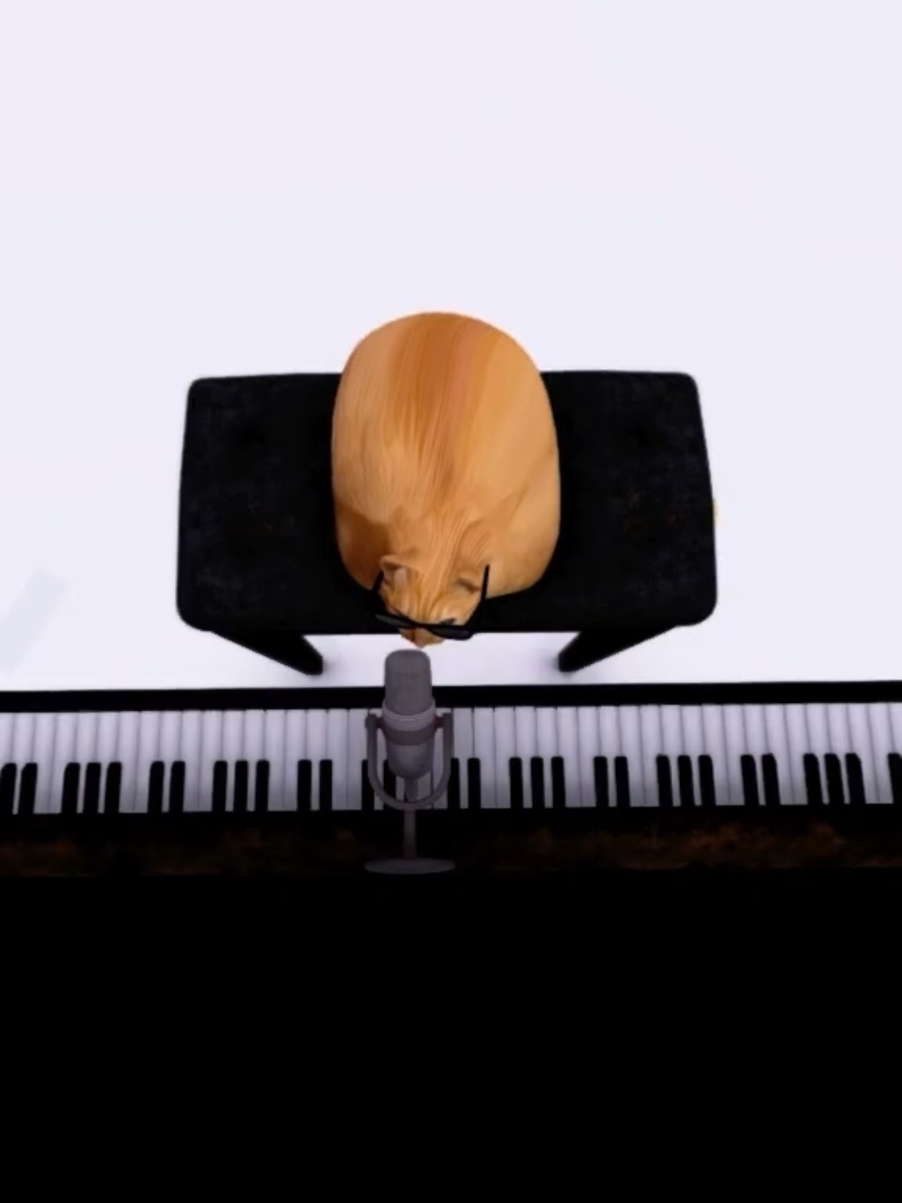 A post by @dmcgar on TikTok caption: And meow I wonder. #onthisday #onthisday #meow #pablo #animals #cat #cartok #catsofinstagram #fyp #sing 