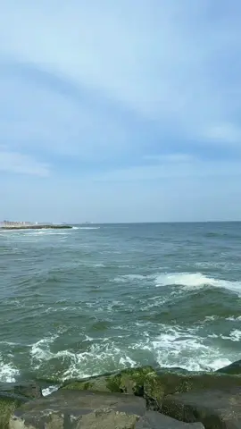 A post by @alshahrian00 on TikTok