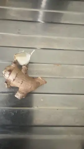 A post by @adamadrame0101 on TikTok