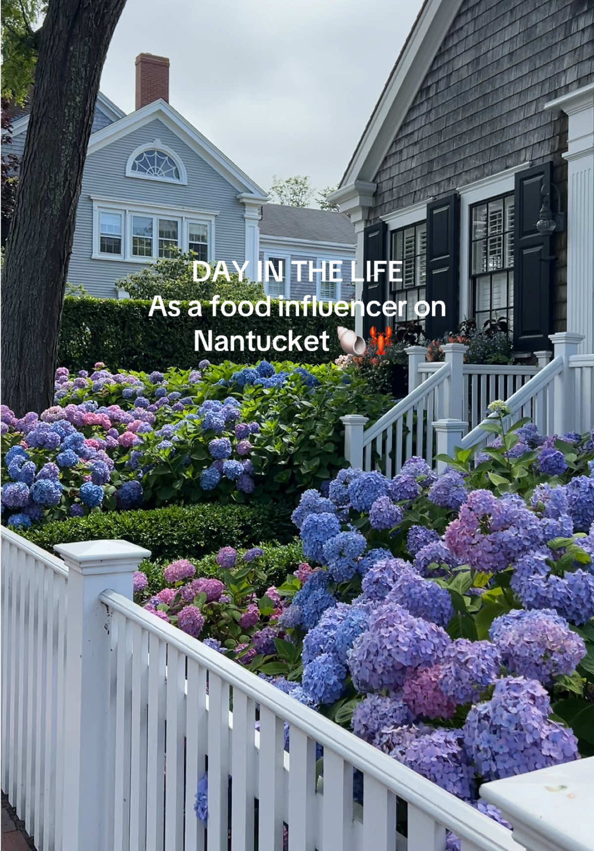 A post by @claudia.harrington on TikTok caption: I can’t believe how many of you guys I met!!!! Especially the cutest couple hi Taylor & Zach 🩷🇺🇸🧺🦞 #nantucket #nantucketfood #nantuckettodo #traveltonantucket #foodinfluencer #jcrew #ciscobrewers #handlebarcafe #galleybeach 
