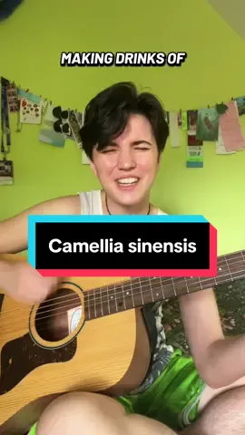 A post by @oddpride on TikTok caption: It’s the Latin name for the tea plant.  #paleontology #womeninstem #originalsong #science #songwriter #personal 