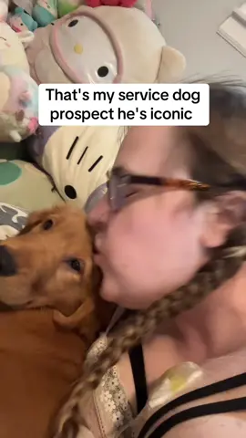 A post by @wittlegirl on TikTok