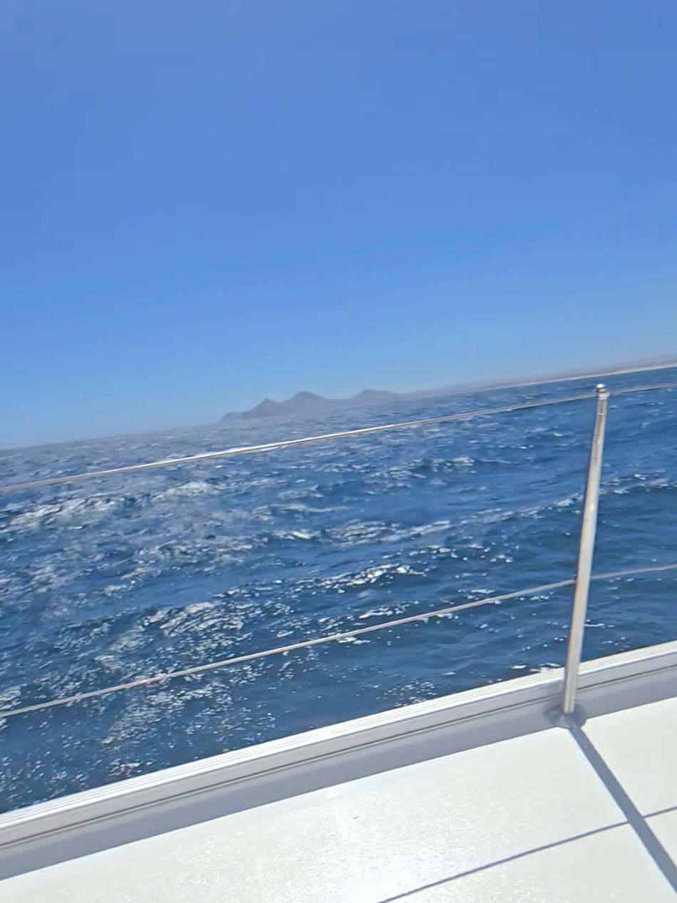 A post by @shantons7 on TikTok caption: Mind you the boat was literally sideways & I thought we were gonna lose him 😭😭😭  #cabosanlucas #boatsgonewild 