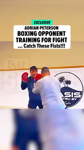A post by @tmz on TikTok caption: #BabyJoeCastaneda is already training to fight #AdrianPeterson -- and we have the video! 🥊 #Exclusive story at the 🔗 in bio!