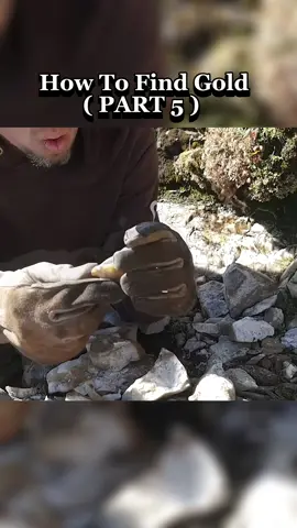 A post by @_mbmmllc_ on TikTok caption: PART 5 : How To Find Gold #Lifestyle #foryourepage #mine #gold #creativemakeup #wow #tiktokusa #pourtoii #viral_video #usa #gymhumor #fyrシ #fyryou #usa_tiktok #trendingvideo #fyryry #viralditiktok #gym #stephanematal #GymTok #fyrtr 