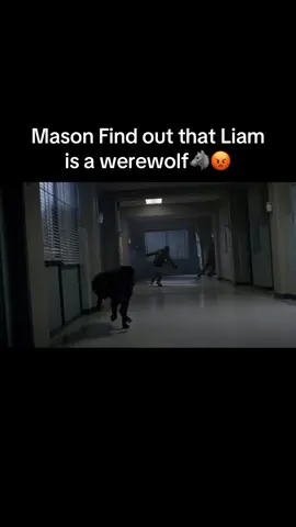 A post by @scott00945 on TikTok caption: Liam the best  beta🐺😡#рекомендации #рек #волчонокteenwolf #liamdunbar #viral