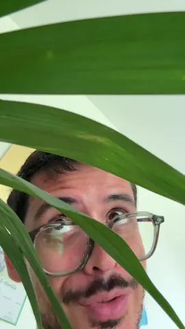 A post by @noholito on TikTok caption: Non Géraldine 