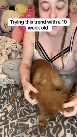 A post by @wittlegirl on TikTok