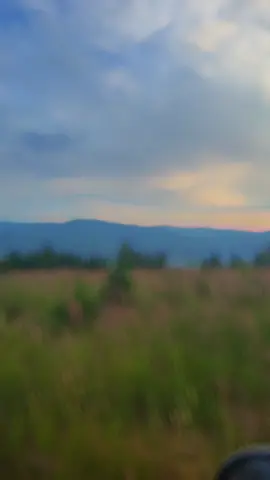A post by @diana.ionela99 on TikTok caption: Silence🥰#foryou #fyy #fypシ #fy #fyp #romania 