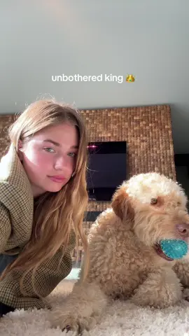 A post by @roxydekker on TikTok caption: Guus is zo’n reus🤣