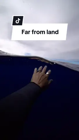 A post by @mermaid.kayleigh on TikTok caption: Thalassaphobia: fear of deep bodies of water. 🌊 Tag someone who would never jump in. 😨 #Thalassophobia #FearOfTheDeep #OpenWater #Ocean #deepsea #openocean #alone 