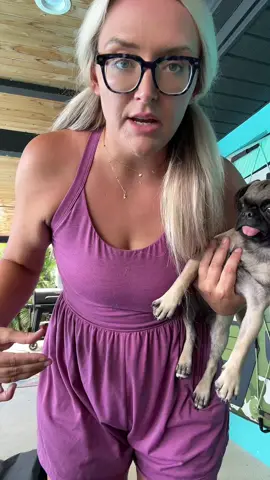 A post by @laurenthemortician on TikTok caption: Once I put it on I was like, “Oh! So this is why you all love this thing.” You will regret not getting more than one FYI. #momfit 