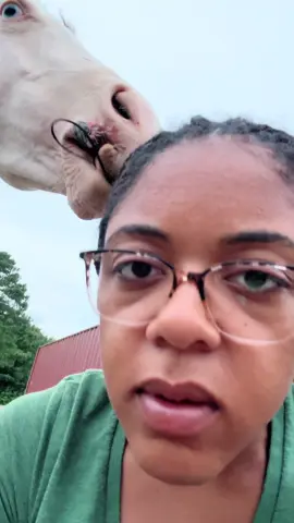 A post by @julie__perry on TikTok caption: I must be 15 again…pimples are going crazy! 
