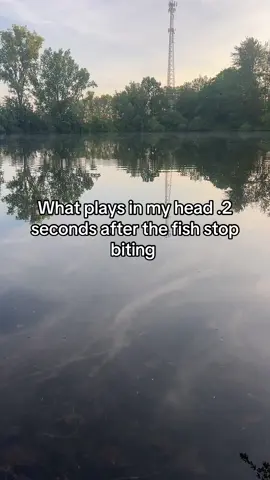 A post by @kylie..porter on TikTok caption: #fishing #fishinglife #fyp #foryoupage #fishingtiktoks #fishingtips #fishingvideos #creatorsearchinsights 