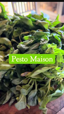 A post by @le.grand.gaulois on TikTok caption: Pesto maison 🌿🍖 #terroir #pesto #food #faitmaison #barbecue 