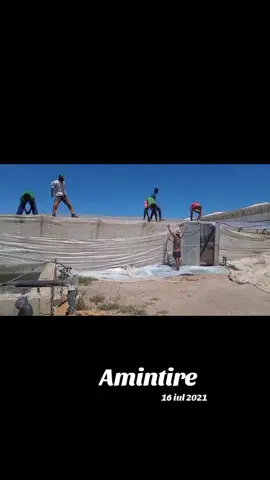 A post by @adelina_elena27 on TikTok caption: #amintire 
