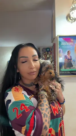 A post by @narcisaoficialmusic on TikTok caption: @yorkshire Danys kennel 